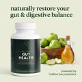 Salurna's Digest Pro — Naturally optimize your digestion